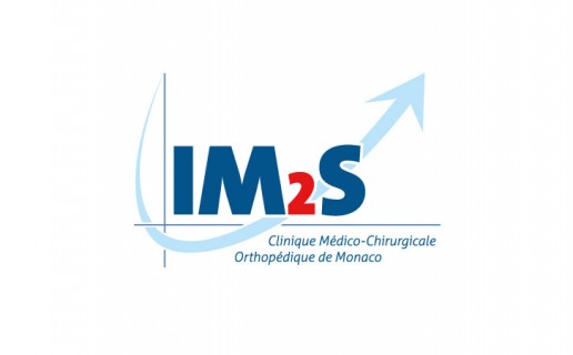 Création du logo de l'IM2S - 2013